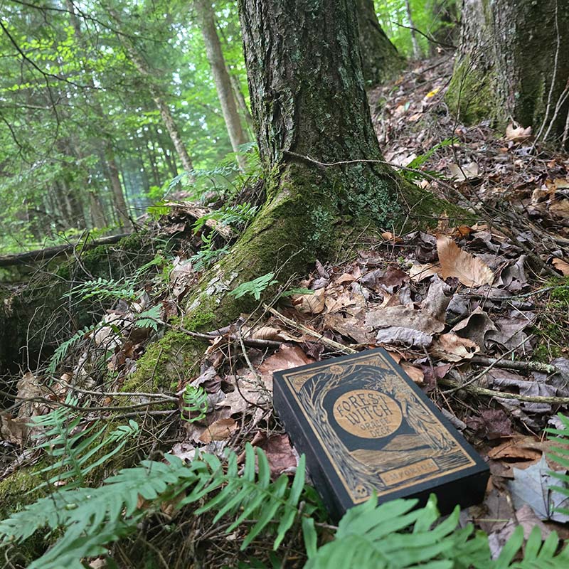 Forest Witch Oracle Deck