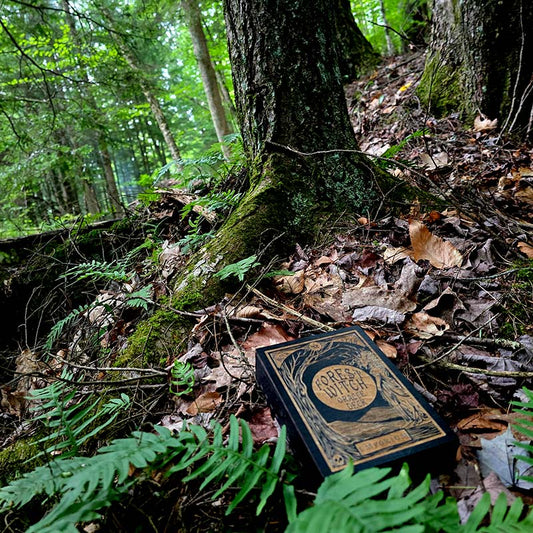 Forest Witch Oracle Deck